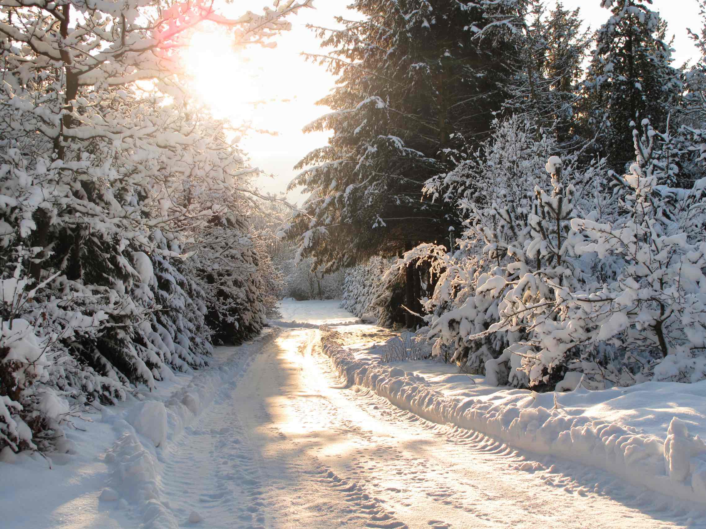 Vinter